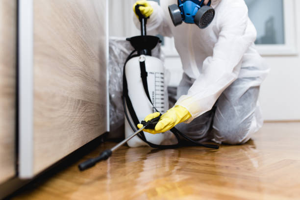 Best Best Pest Control Companies  in Thomasville, NC