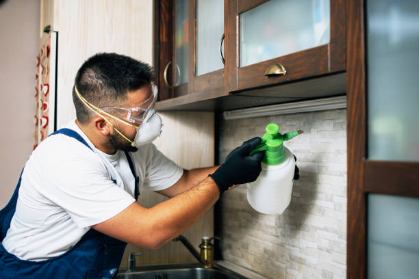 Best Pest Removal Services  in Thomasville, NC