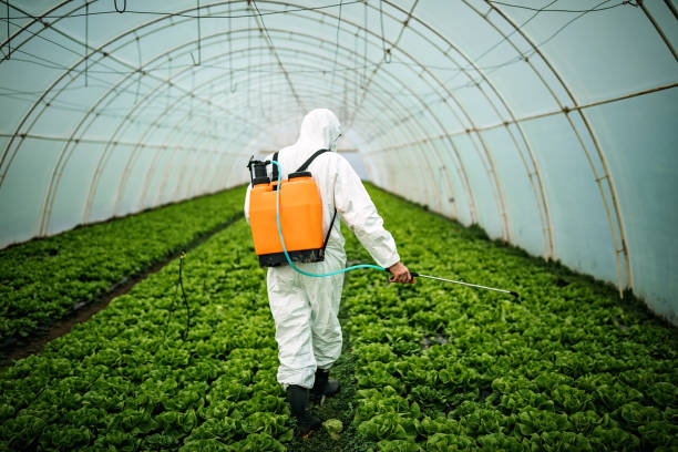 Best Emergency Pest Control  in Thomasville, NC