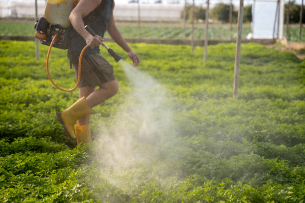 Best Commercial Pest Control Services  in Thomasville, NC