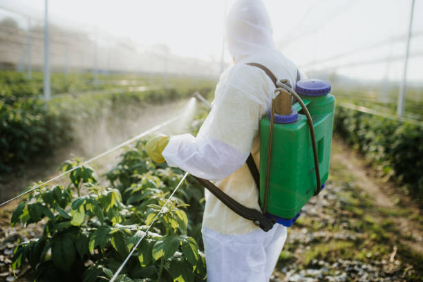 Best Best Pest Control Near Me  in Thomasville, NC